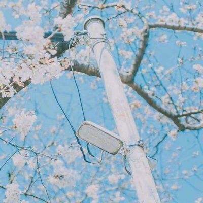 宝可梦大探险日版下载