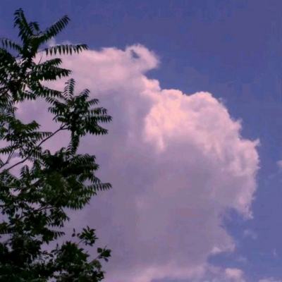 龙城传奇bt版下载