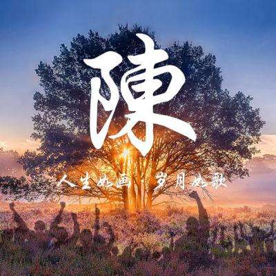 泡泡部落破解版最新版下载